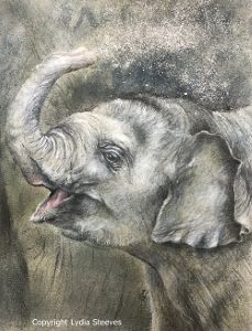 Sandbox Fun CP Online Class